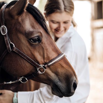 Spiegelbild: Reflexion und Vertiefung des persönlichen Verhaltens. Reflexión personal mediante el comportamiento de los caballos en el coaching.