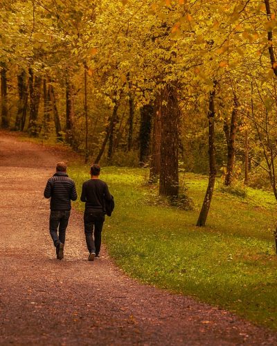 Pferdegestütztes Coaching zur Förderung von persönlichem Wachstum und Reflexion.