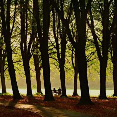 gespräch im wald_coaching